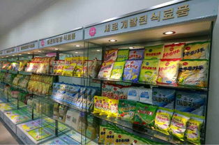 金正恩视察平壤儿童食品厂 鼓励其成为世界领先工厂 高清组图